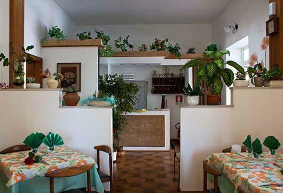 Albergo Lido Silvi Marina Εξωτερικό φωτογραφία